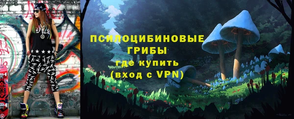 сатива Баксан