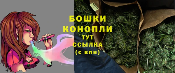 сатива Баксан