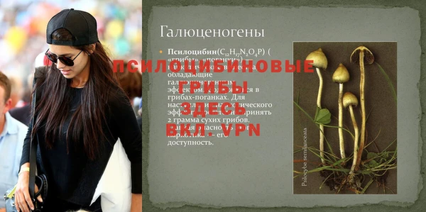 сатива Баксан
