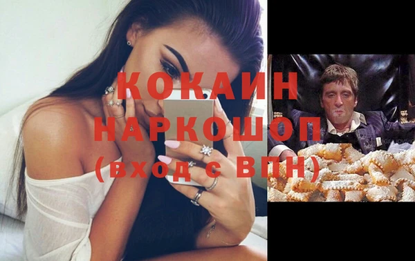 сатива Баксан