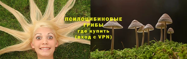 сатива Баксан