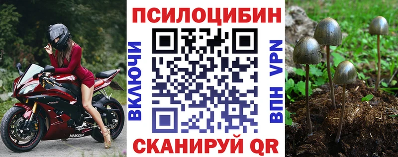 наркошоп  Калининец  Галлюциногенные грибы Magic Shrooms 